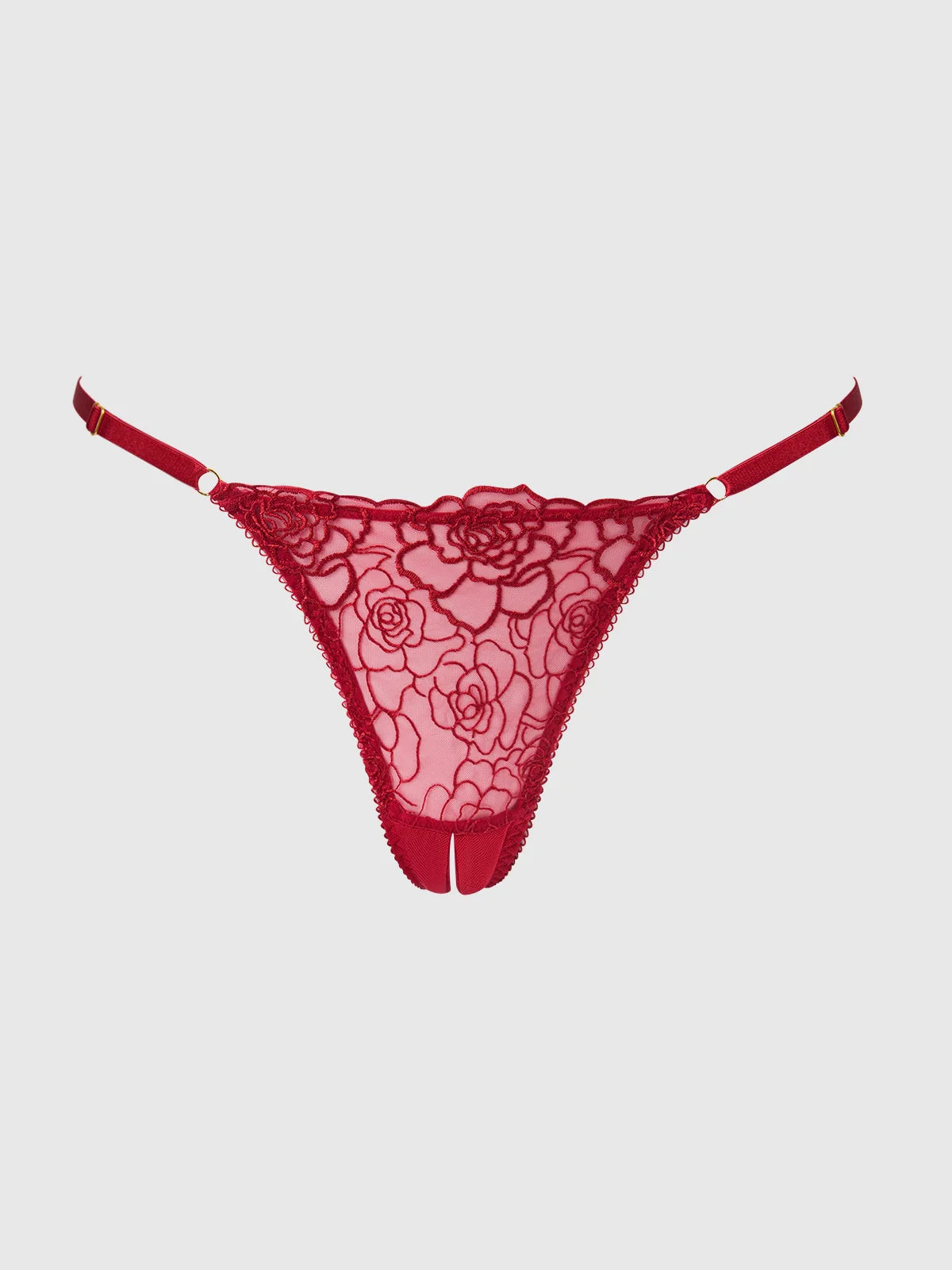 Rosalie Embroidered Lace & Mesh Crotchless Thong