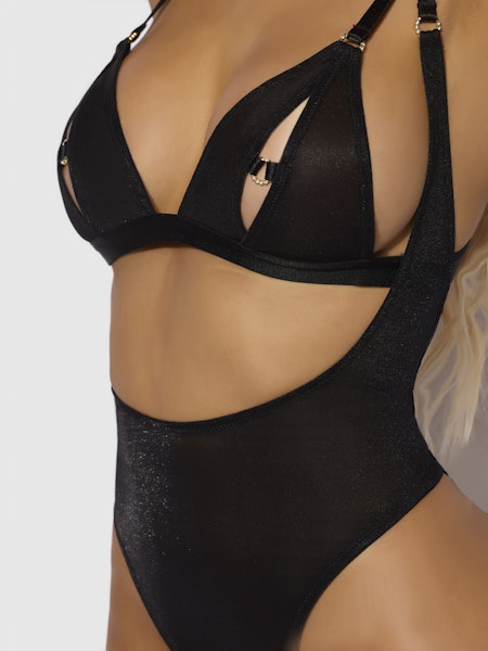 Yasmine Shimmer Mesh Slit Cup, Backless Teddy & Bralette Set