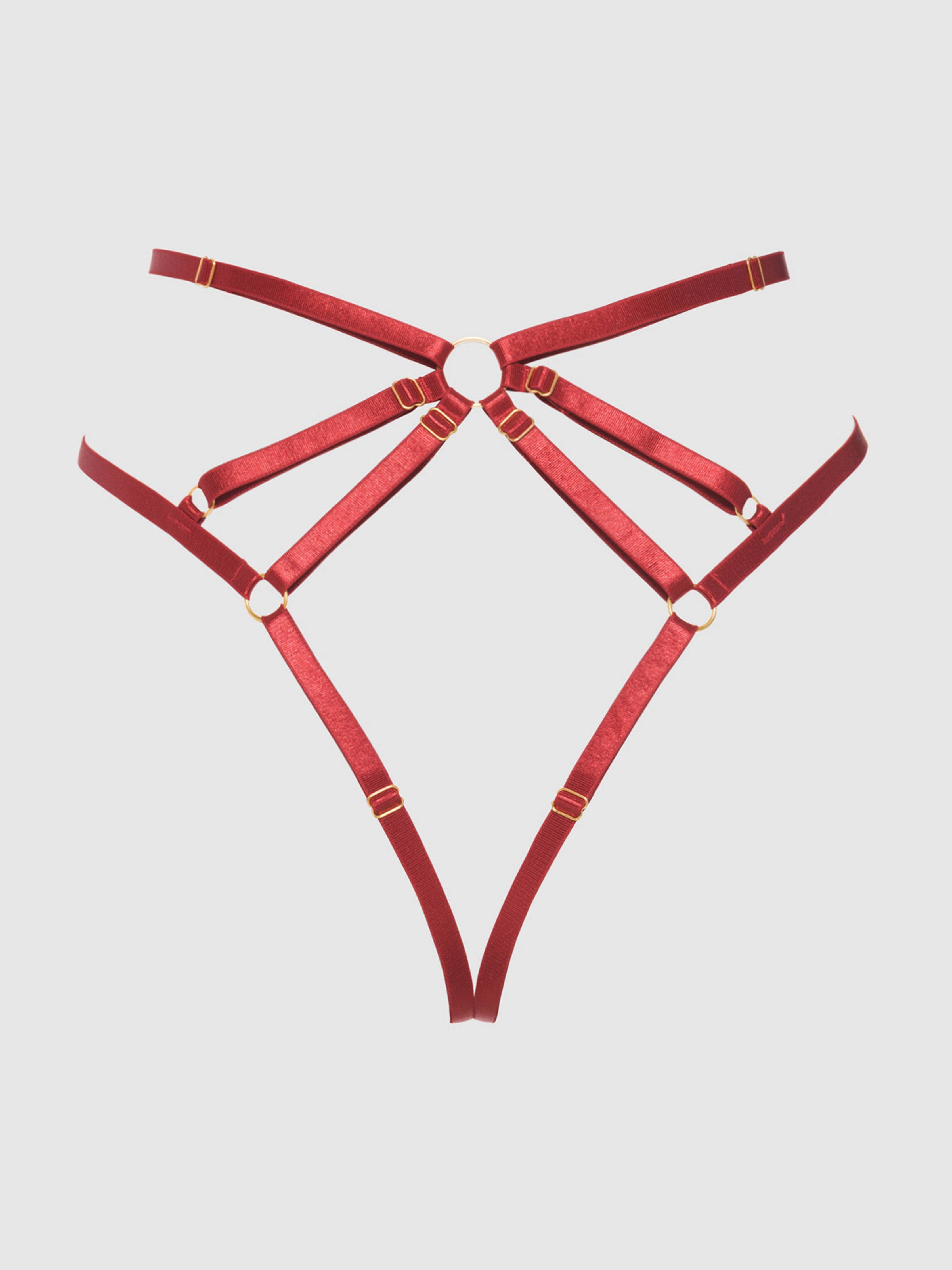 Rosalie Embroidered Lace Strappy Backless Tanga — view 15 | Lavah Pleasure