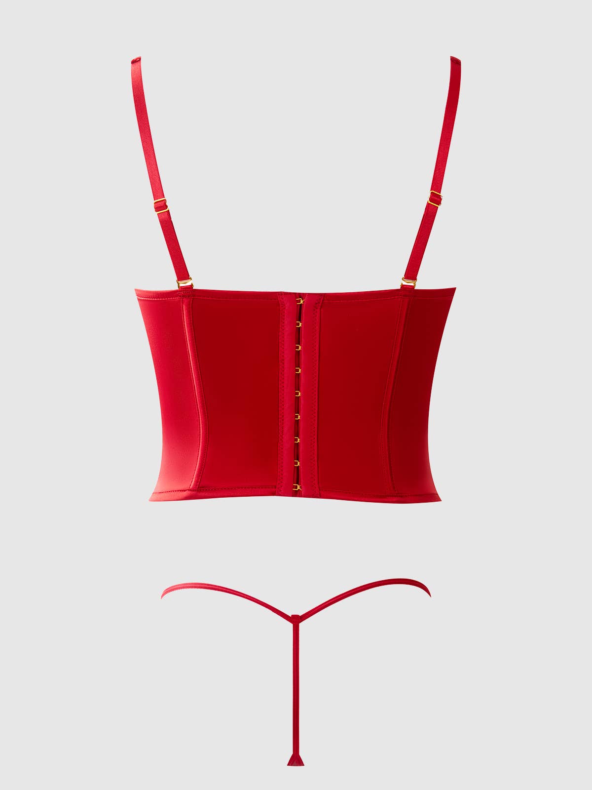 Brigeta Satin Plunge Push Up Bustier & G-String Set — view 4 | Lavah Pleasure