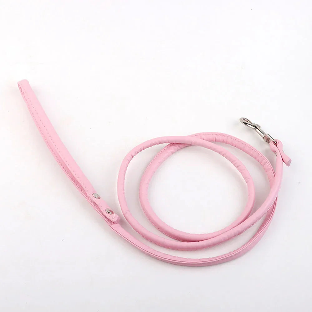 Tush Plug with Leash